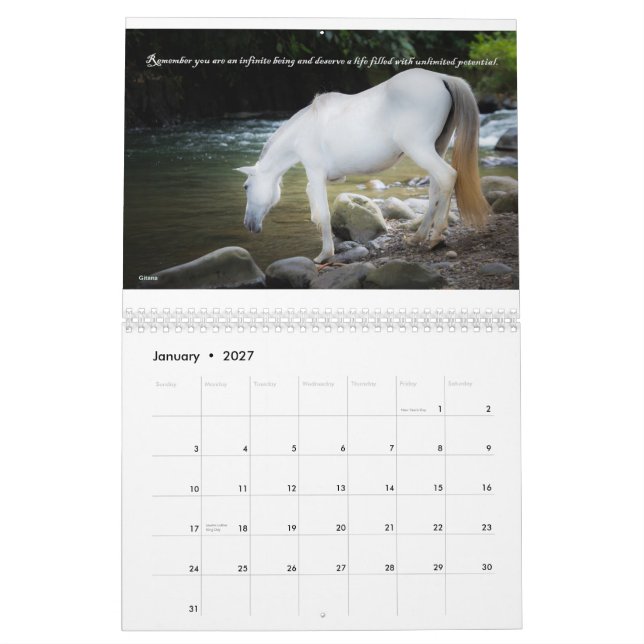 Fundo - calendário Salvando Corazones 2015 do (Jan 2027)