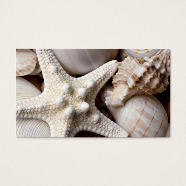 Fundo de Starfish do Sea Shell - Prateleiras (Frente)