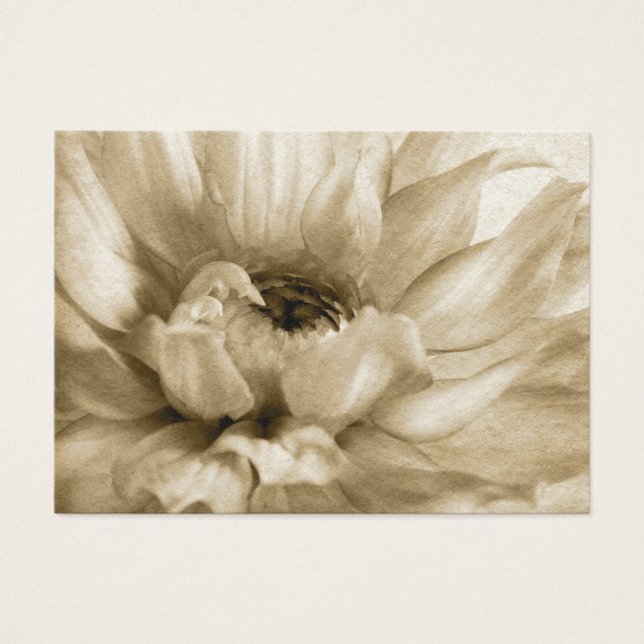 Fundo Sepia White & Cream Dahlia Personalizado (Frente)