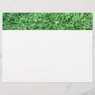 Fundo verde de algas