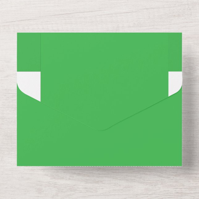 Fundo Verde e Borda Branca para um Aes Moderno (Back)