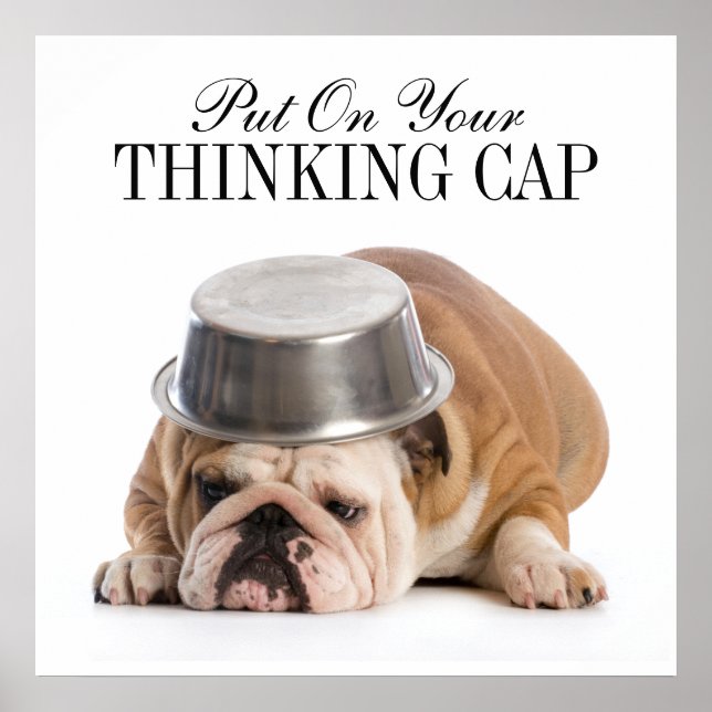 Funny Bulldog - Poster - srf (Frente)