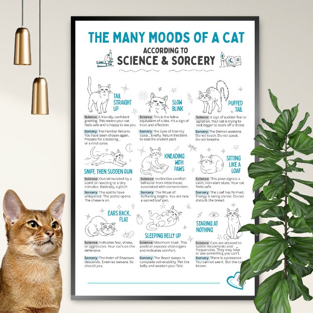 Funny Cat Body Language Poster – Feline Mood Chart (Criador carregado)