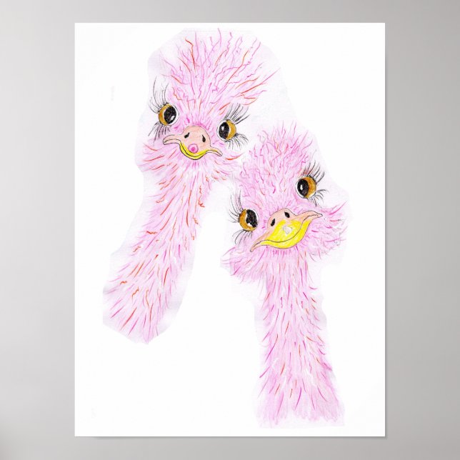 Funny Ostriches Poster  (Frente)