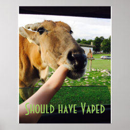 Funny should have Vaped poster