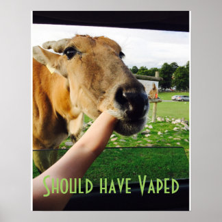 Funny should have Vaped poster