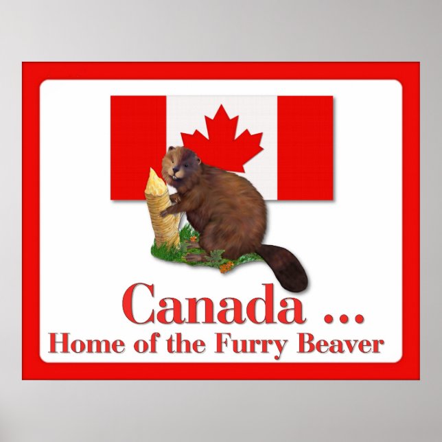 Furry Beaver Poster (Frente)