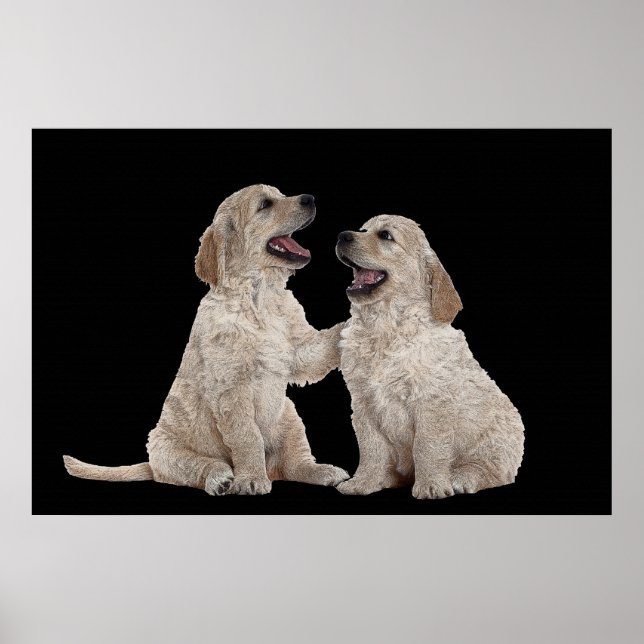 Furry Companion 36 x 24 Poster (Frente)