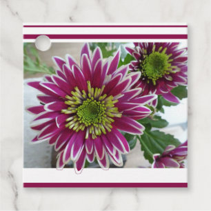 Fusca Rosa Chrysanthemum Collage Favorece Etiqueta