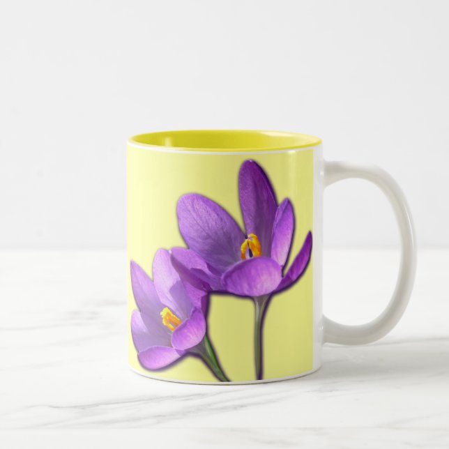 Fuseleira de primavera Mug Café Xícara de Flor (Direita)