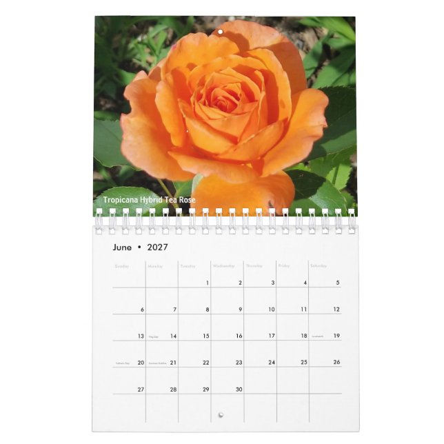 Gabby, o calendário do jardineiro de 2021 (Jun 2027)