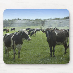 Gado Mousepad de Holstein