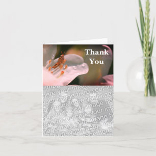 Gafanhoto Azalea Obrigado Cartão com fotos