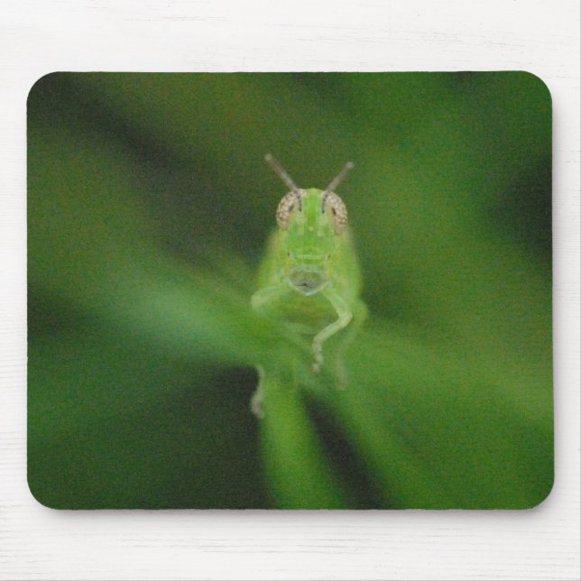 Gafanhoto Mousepad (Frente)