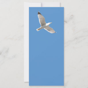 Gaivota