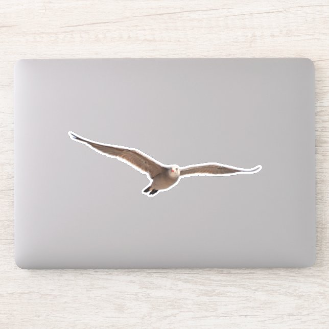 Gaivota de pássaro do mar bonito no adesivo de cor (Computador)