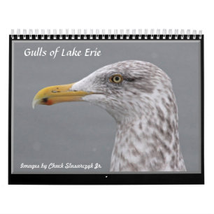 Gaivota do calendário de parede do Lago Erie