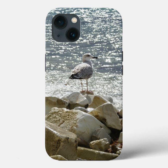 Gaivota e mar (Verso)