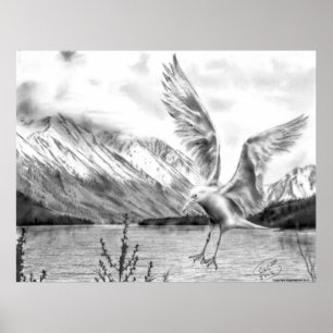 Gaivota e poster das montanhas