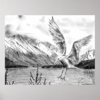 Gaivota e Poster das montanhas