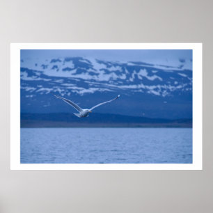 Gaivota o vôo norueguês ao poster da liberdade