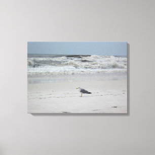Gaivota pelo oceano na Canvas