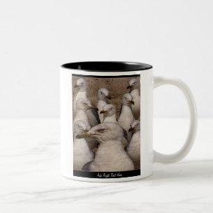 Gaivotas ávidas de Scavaging - CANECA FEITA SOB