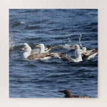 Gaivotas Em Oceanos Acrílicos Quebra-cabeça De Vas