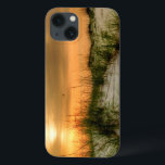 Gaivotas no nascer do sol<br><div class="desc">Home Décor</div>