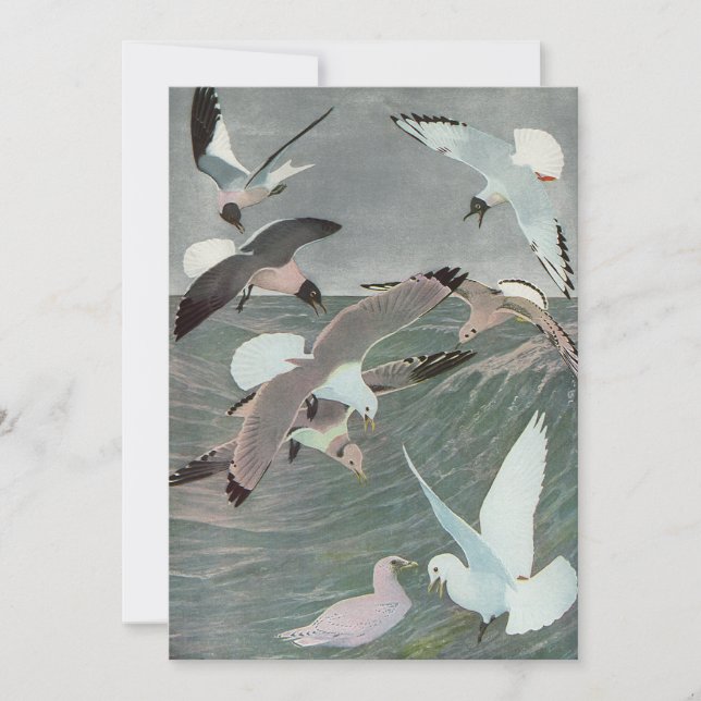 Gaivotas sobre Ondas Oceânicas por Louis Agassiz F (Frente)