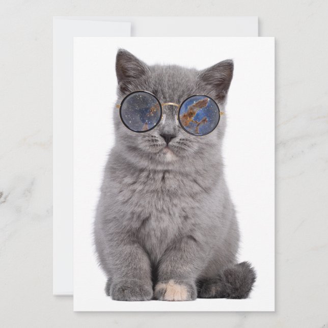 Galáctica Gaze o Gatinho Stellar em Óculos Solares (Frente)
