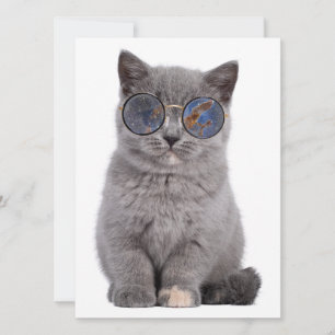 Galáctica Gaze o Gatinho Stellar em Óculos Solares