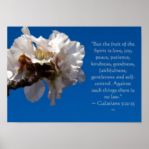 Galatianos Poster 5:22,23