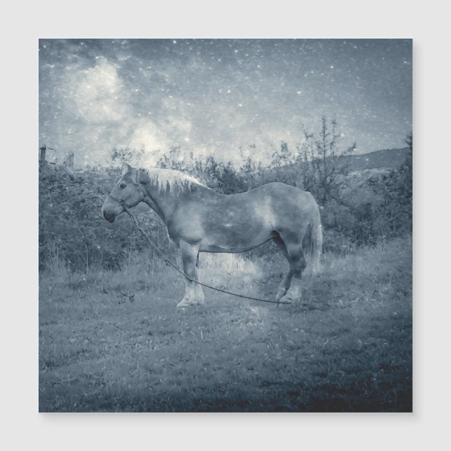 Galáxia cosmica de prata cosmica, cavalo de cabine (Frente)