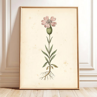 Galeria de Impressões Botânicas Vintage para Pared