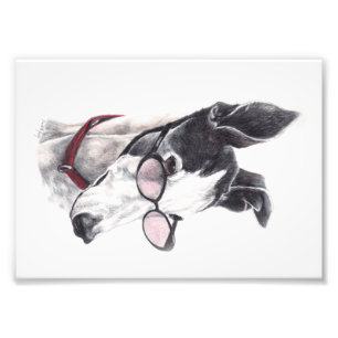 Galgo com impressão da arte da foto dos vidros