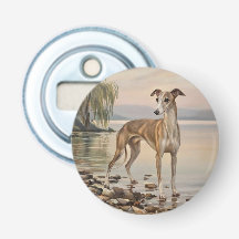 Galgo Italiano