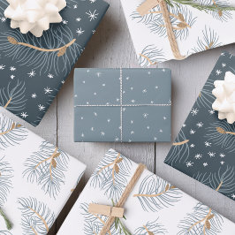 Galhos com flocos de neve |