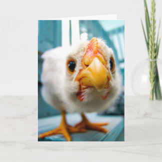 Galinha Bebê, Galo, Fazenda Animal, Cartão Saudáve