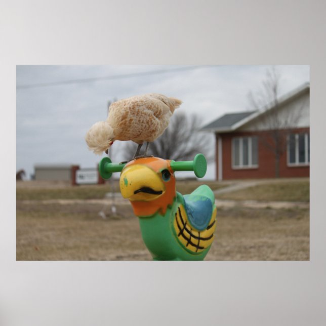 Galinha encontra um Poster de amigo (Frente)