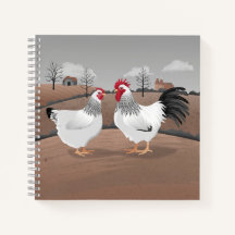 Galinha & Galo