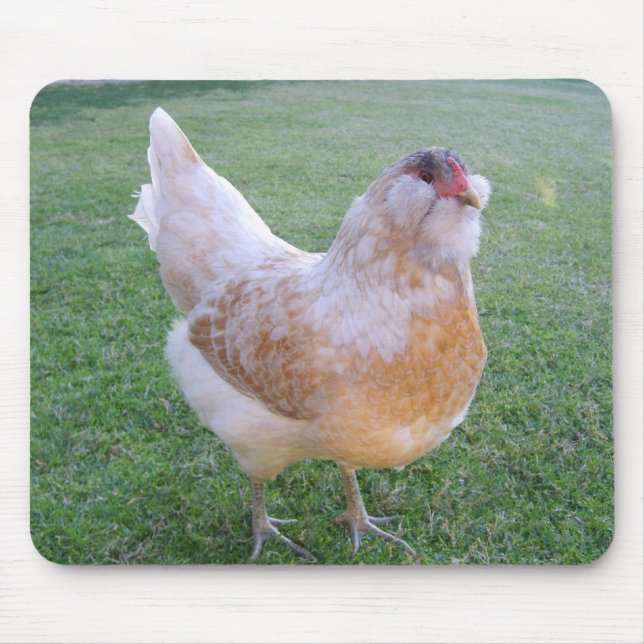 Galinha Mousepad de Egger da páscoa (Frente)