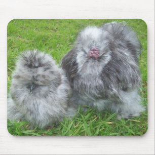 Galinha Mousepad de Silkie