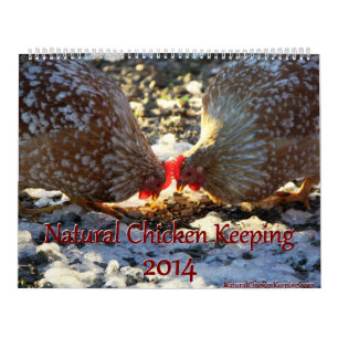 Galinha natural que mantem '14 o calendário