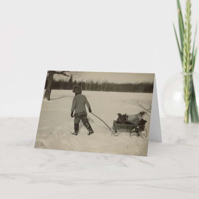 Galinhas no cartão da neve (Frente)