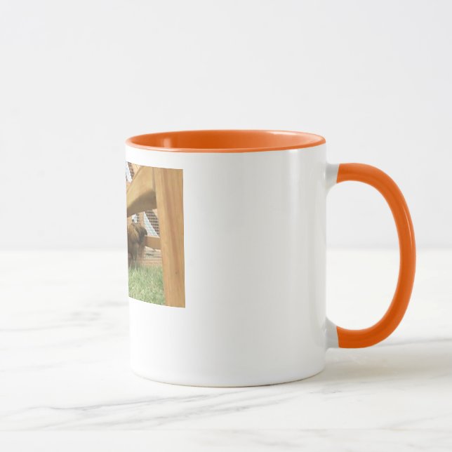 Galinhas novas felizes em sua caneca de café nova (Direita)