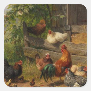 Galinhas vegetais e autocolante