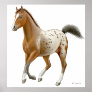 Galloping Appaloosa Impressão