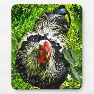 Galo atado prata de Wyandotte em Mousepad verde