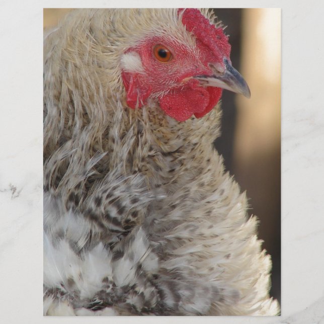 Galo de Frascos (Frente)